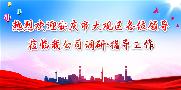 安慶市大觀區(qū)領導蒞臨我公司調(diào)研工作，為發(fā)展注入新動力